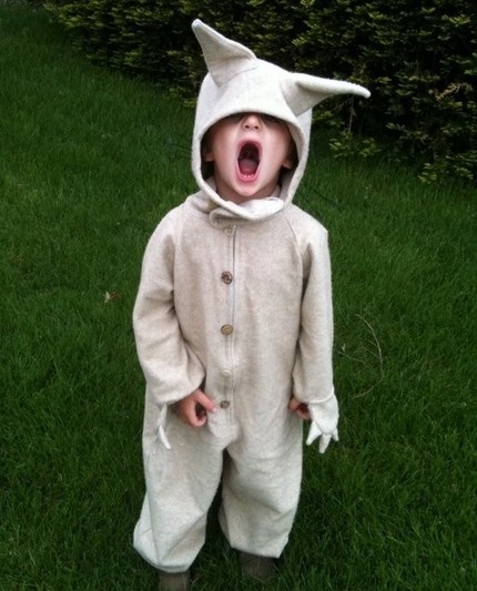 A little kid wearing Max's wolf costume. Click on the image to be taken to the websource.